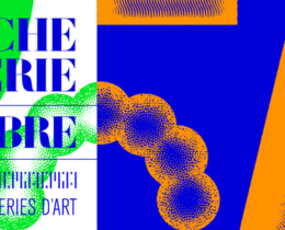 un-dimanche-a-la-galerie_francoise-paviot