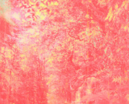 aki-lumi_francoise-paviot