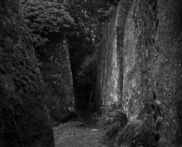 juliette-agnel_francoise-paviot